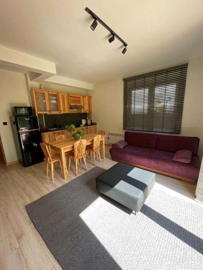 Apartament Zakopane Willa Hrube Parter Z Tarasem I Kominkiem エクステリア 写真