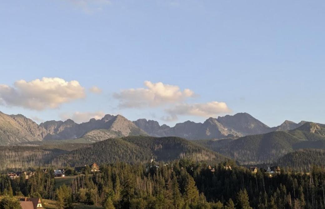 Apartament Zakopane Willa Hrube Parter Z Tarasem I Kominkiem エクステリア 写真